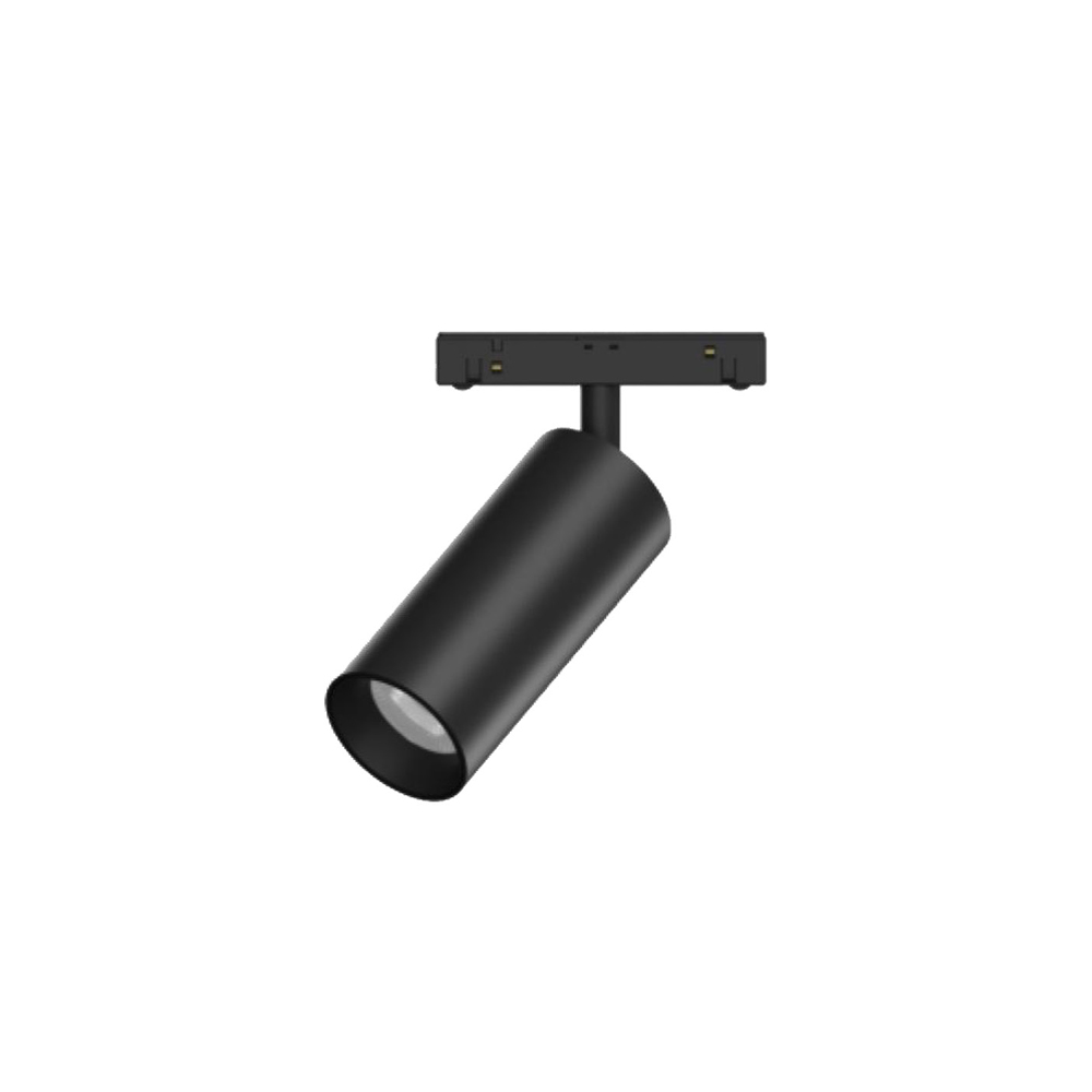 Track Light