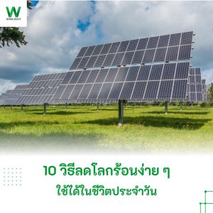10 วิธีลดโลกร้อนง่าย ๆ ใช้ได้ในชีวิตประจำวัน