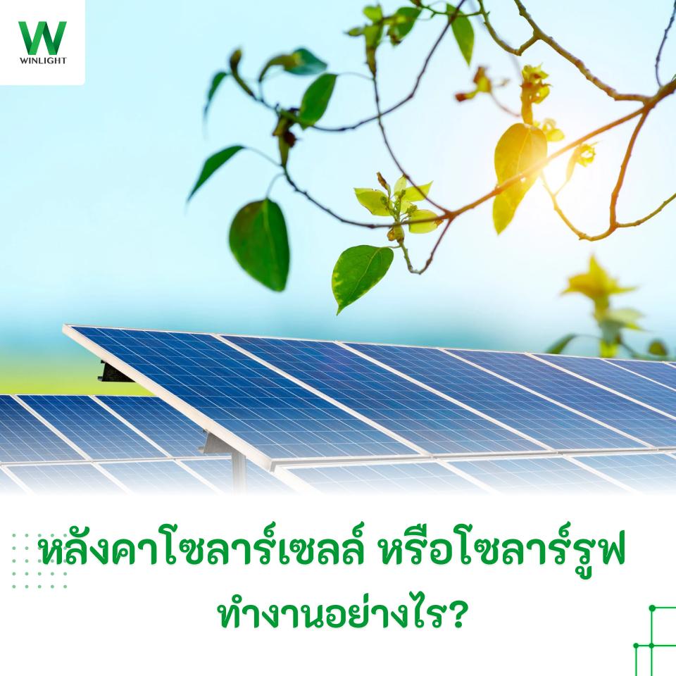 แผงโซลาร์เซลล์ท่ามกลางความสดชื่นของธรรมชาติ
